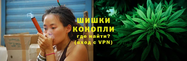 тгк Лиски