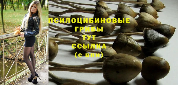 тгк Лиски