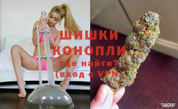 тгк Лиски