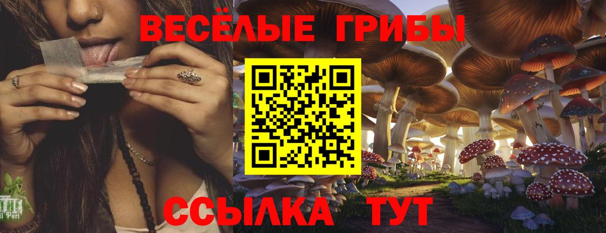 Псилоцибиновые грибы GOLDEN TEACHER  Усть-Кут 