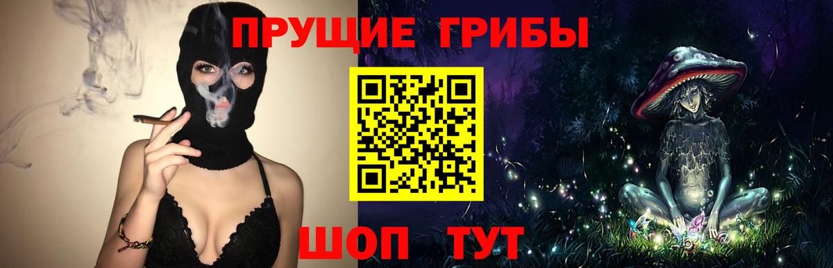 Галлюциногенные грибы Magic Shrooms  Псилоцибиновые грибы Magic Shrooms  Усть-Кут  Вход с VPN 