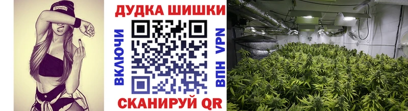 как найти закладки KRAKEN ONION Канабис VHQ Усть-Кут