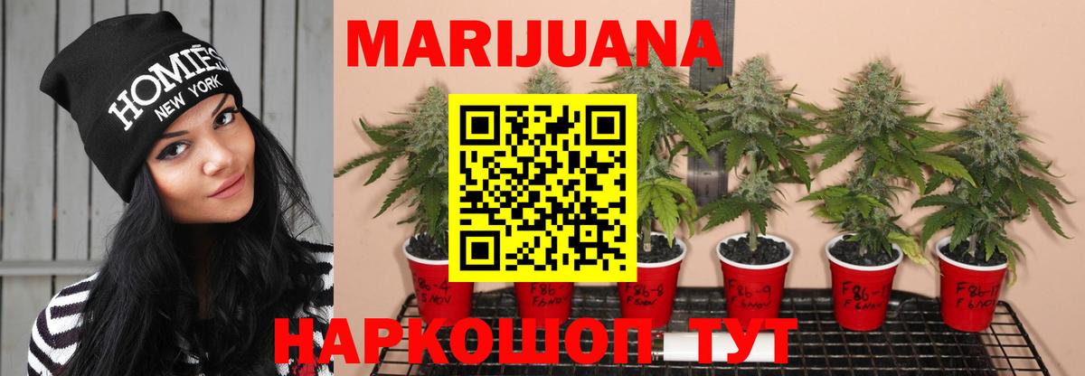 Канабис Amnesia Усть-Кут